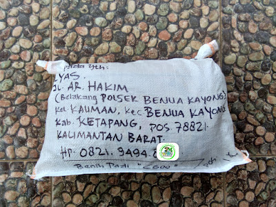 Benih pesana    ILYAS Ketapang, Kalbar.   (Sesudah Packing)