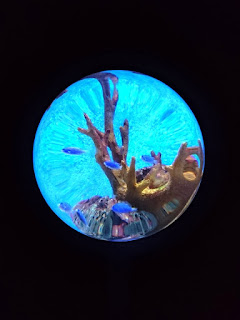 Manila Ocean Park's The Reef