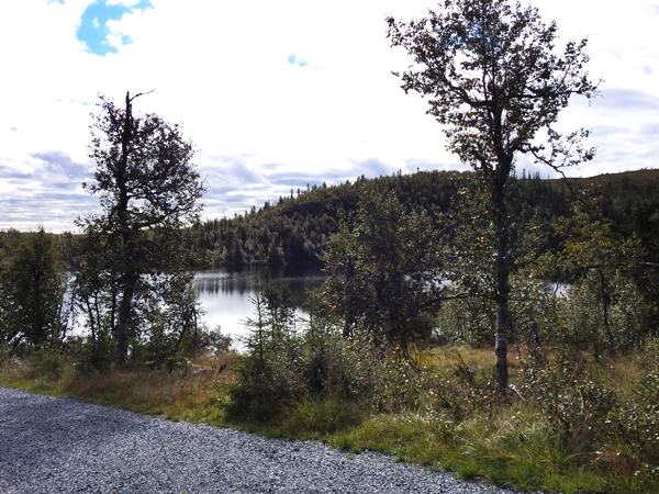 teinvassåsen høgdefjell hyttetur