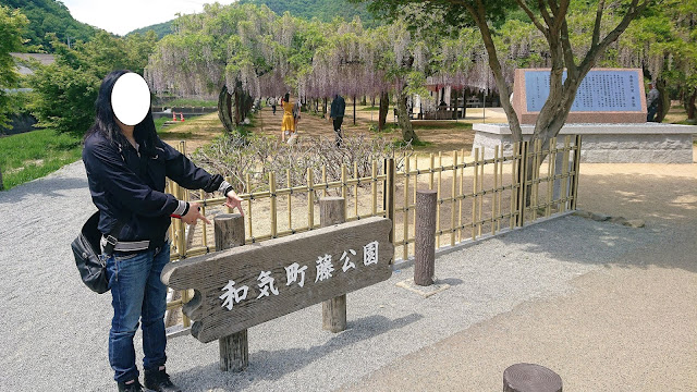 岡山 藤公園 和気町