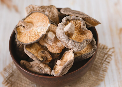 A Beginner's Guide to Growing Shiitake Mushrooms at Home