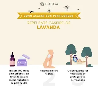 Como Acabar com Mosquitos e Pernilongos usando Ingredientes que você Tem em Casa