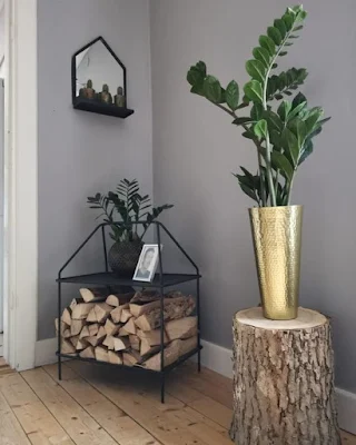 Como utilizar plantas na decoração de interiores