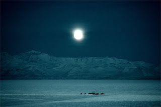 Night Landscape | Angela Garner/National Science Foundation