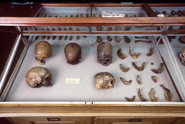  has ended after advanced deoxyribonucleic acid sequencing found it was related to a Native American tribe For You Information - deoxyribonucleic acid of world's oldest natural mummy unlocks secrets of Ice Age tribes inwards the Americas