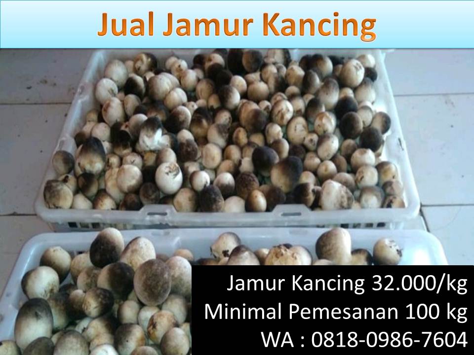 Masak bihun jamur kancing barang yang paling diminati