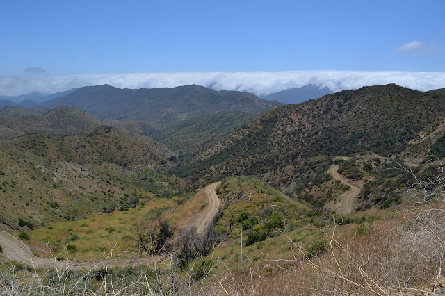 Camuesa Road