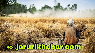 जरूरी खबर, farmers news,  jaruri khabar