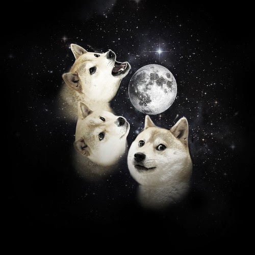 Three Doge Moon