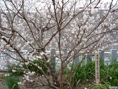 鼻川神社皇太子殿下御成婚