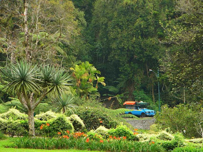 Kebun Raya Bogor atau Istana Bogor