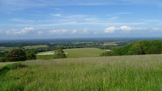 South Downs National Park South Downs Chanctonbury Ring Cissbury Ring Bignor Hill Truleigh Hill Devil’s Dyke Brighton Worthing Steyning Washington Storrington Ashington Hills downs sheep countryside England English South East England Arundel Amberley pond sheep dip dew pond South Downs Way drovers’ tracks vegetation woodland woods Arun river valley Adur river valley scarp slope downland Wiston Park A24 Shoreham by Sea Sompting Chiltington Fulking Poynings A23 Brighton Slindon Chichester Parham House Winchester Midhurst Pulborough Petworth rolling gentle cattle Arundel Castle Bury 