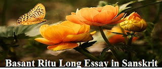 Basant Ritu Long Essay in Sanskrit