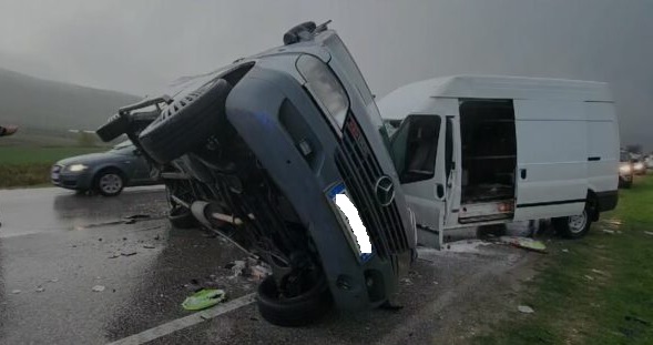 Major Road Accident in Qarr, Albania: Speeding Suspected, 36 Sheep Impacted