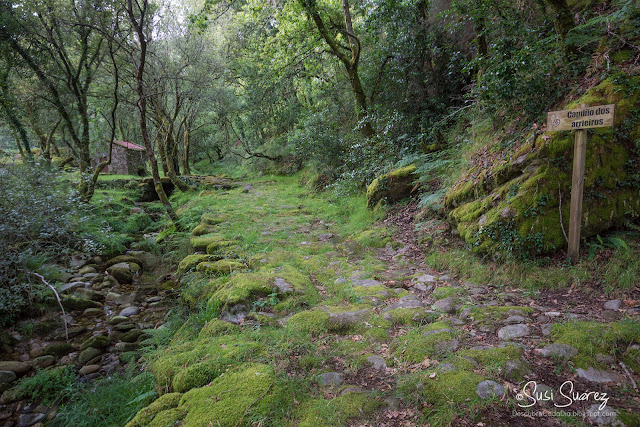 Ponte Grande y piscina fluvial de A Airoa