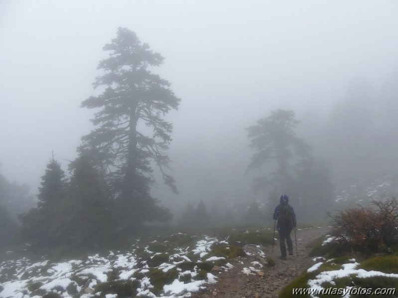 Subida al Torrecilla desde Quejigales