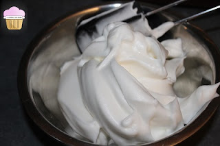 macaron-blanc-oeuf-en-poudre-deshydrate