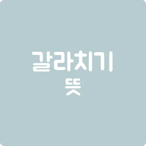 갈라치기 뜻