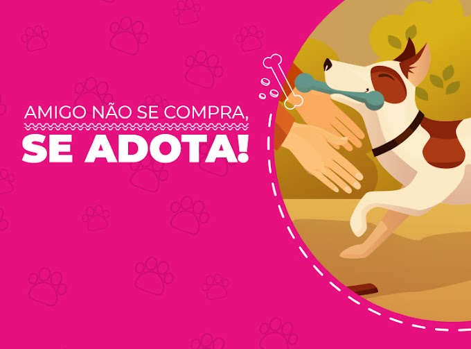 Depois da entregar 24 toneladas de ração para ONG's e lares temporários, Hurb estimula a adoção consciente de animais