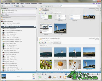 Picasa Photo 3.9.141 Build 225 Terbaru