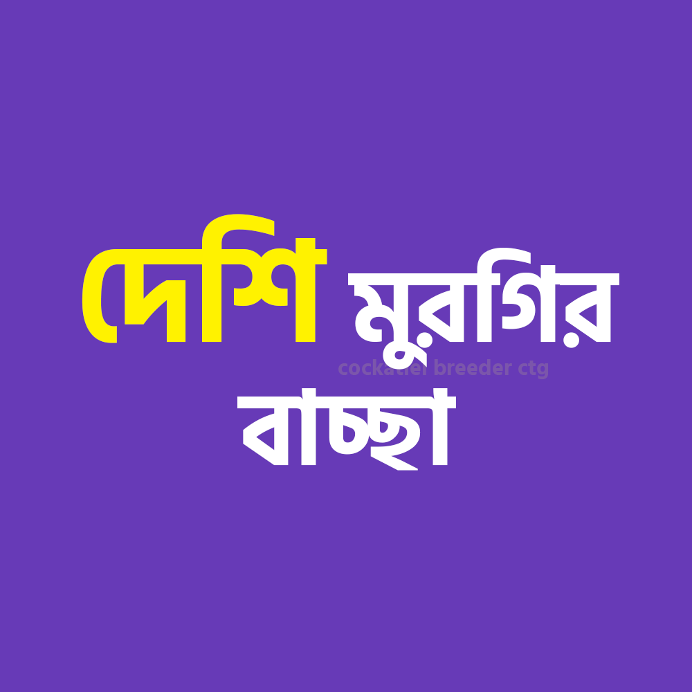 ছবি