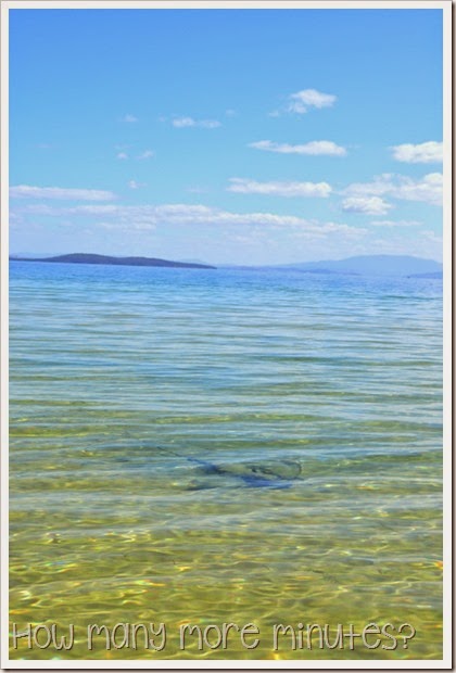 How Many More Minutes? ~ The Magical Beach in Dunalley, Tasmania