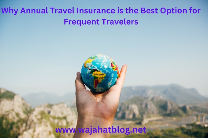 Why Annual Travel Insurance is the Best Option for Frequent Travelers (wajahatblog.net)