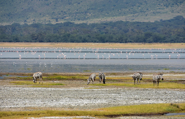 River of NgoroNgoro Crater, Tanzania, Africa