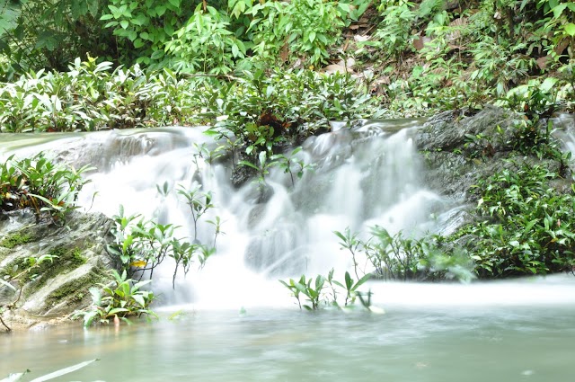 Trip hulu Sg Amang, Kapit, Sarawak