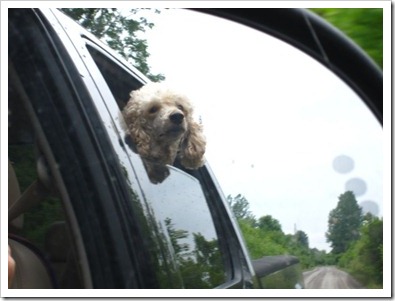 20120809_spike-window_003