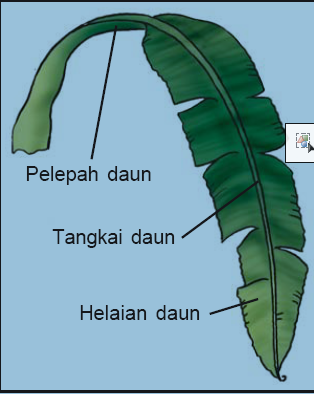 Kumpulan Tugas Sekolahnya Raka Bintang DAUN 