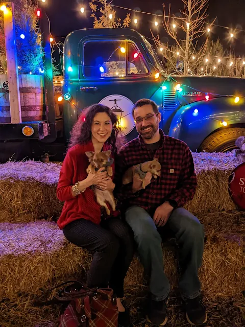 Christmas dogs