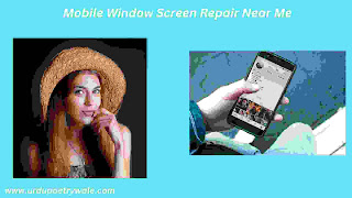 Mobile Window Screen Repair Near Me