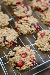 Dark Chocolate Cranberry Oatmeal Cookies: Savory Sweet and Satisfying