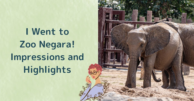 I Went to Zoo Negara! Impressions and Highlights