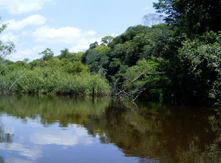 Parque Estadual Nhamundá - AM