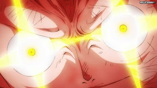 ワンピースアニメ 1025話 ルフィ かっこいい Monkey D. Luffy| ONE PIECE Episode 1025