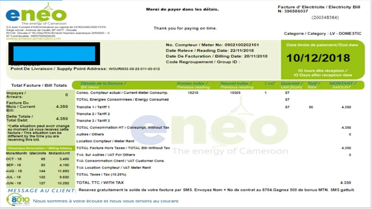 How To Check ENEO Bill Online For Free In Cameroon (Simple)