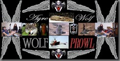 wolf prowl header 2