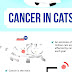 Cancer In Cats - Cat Brain Tumor Symptoms