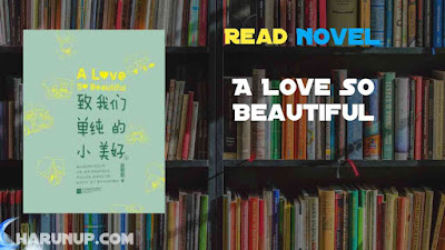 Read A Love So Beautiful Novel Full Episode