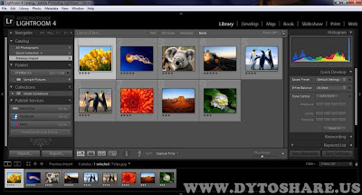 New%2BPicture Adobe Photoshop Lightroom 4 + Keygen Patch