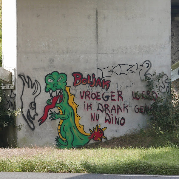 Graffiti Boljak: Vroeger werd ik draad genoemd, nu dino