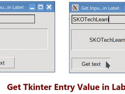 Steps to Get Entry Or Text Value in Label in Python Tkinter ...