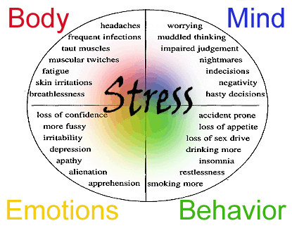  Stress Relief Tips For Women When your life did become so hard?  Days are packed to the gills with more than even Wonder Woman could handle! To combat all those days brimming with things to do, people to see and places to be, I've come up with a list of fun, relaxing and enjoyable things to defeat the stressors in your life this spring.   Check them out and see if any of these stress-busters might give you the peace of mind and solace your life is missing.  Put on comfy clothes and snuggle up with a good book.  And some chocolates.  And a cup of tea with some cookies.  Take a bubble bath.  Give yourself a nice pedicure to pamper yourself AND get your toes in shape for sandals.  Determine a maximum amount of money that you are "allowed" to spend and go shopping for new shoes. And a purse. And clothes.  Stop and smell the roses.  Make some popcorn and watch a movie.  Enjoy a candlelit dinner.  Listen to soft, soothing music.  Or, if you really need to get out some frustration, listen to rock and roll or hard core music.  Play an instrument - especially guitar, if you know how.  Ask someone else to play for you if you don't know how.  Take an entire night to yourself, to be completely worthless. Order take-out, walk around in your jammies and just enjoy having nothing to do.  Exercise! Go for a run, walk, jog, bike ride or other athletic activity. Get some friends together and play tennis or golf, have a catch or do something new and exciting in the world of sports.  Go on a boat ride. Canoe, sailboat, yacht, kayak - it matters not the kind of boat but that you have a nice, relaxing time on the water.  Take a nap or go to bed early. No lie - if you are feeling completely zonked from a tough week, your body will love you for it.  Make some "comfort food." Cupcakes, cookies, cakes, pies.anything sweet and scrumptious is fair game!  Get together with your girlfriends and commiserate. When you all share your dilemmas and get the frustration out in the open, it's a pretty sure thing that you'll be feeling better in no time.  Go on a vacation. Whether you leave for a week or you take a five-minute mental vacation, sometimes an escape from reality is all it really takes to re-energize and rejuvenate yourself. No matter what types of activities - or lack thereof - refuel you and rejuvenate you after a tough workday or workweek, remember that relaxation is only a good night's sleep away.     Whom to contact for Stress Relief Counseling & Treatment Dr. Senthil Kumar is well experienced Psychologist who treats many cases of   with successful outcomes. Many of the clients get relief after attending psychological counseling with him. Dr. Senthil Kumar visits Vivekanantha Homeopathy Clinic & Psychological Counseling Center, Velachery, Chennai 42. To get appointment please call 9786901830, +91 94430 54168 or mail to consult.ur.dr@gmail.com,  The “Psychologist” Psychological Counseling Centre’s at Chennai:- 9786901830  Panruti:- 9443054168  Pondicherry:- 9865212055 (Camp) Mail : consult.ur.dr@gmail.com, homoeokumar@gmail.com    For appointment please Call us or Mail Us  For appointment: SMS your Name -Age – Mobile Number - Problem in Single word - date and day - Place of appointment (Eg: Rajini - 99xxxxxxx0 – Stress Relief.  Personal Counseling – 21st Oct, Sunday - Chennai), You will receive Appointment details through SMS