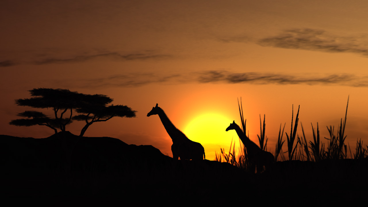 African Safari Landscape