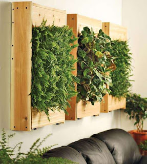 decorar paredes con jardin vertical