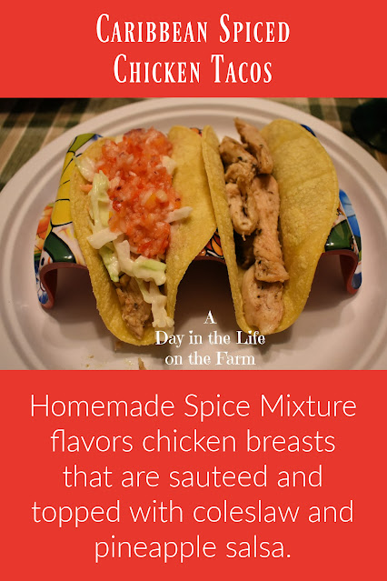 Spiced Chicken Taco pin