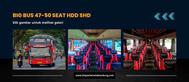 Big Bus 47-50 Seat Jetbus Hdd Shd