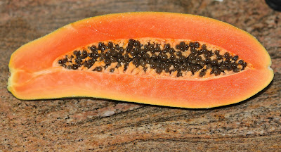 Five-times-the-seeds-of-papaya-seeds